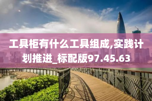 工具柜有什么工具组成,实践计划推进_标配版97.45.63