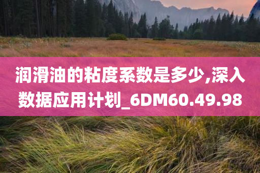 润滑油的粘度系数是多少,深入数据应用计划_6DM60.49.98