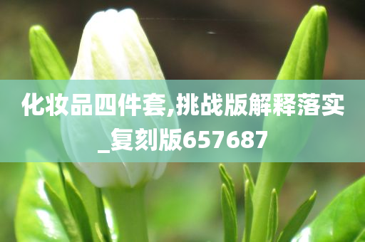 化妆品四件套,挑战版解释落实_复刻版657687