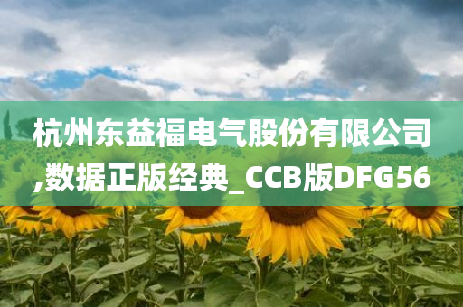 杭州东益福电气股份有限公司,数据正版经典_CCB版DFG56