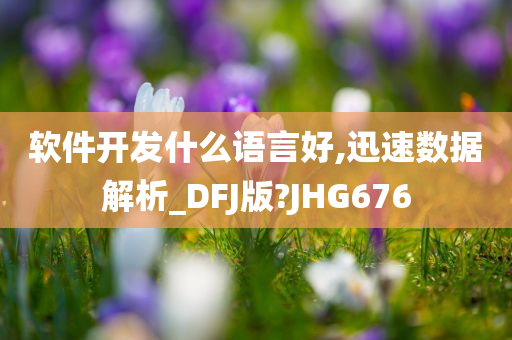 软件开发什么语言好,迅速数据解析_DFJ版?JHG676