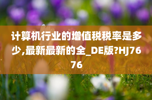 计算机行业的增值税税率是多少,最新最新的全_DE版?HJ7676