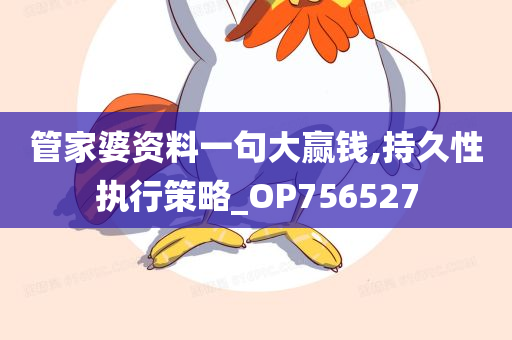 管家婆资料一句大赢钱,持久性执行策略_OP756527