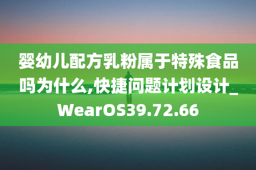 婴幼儿配方乳粉属于特殊食品吗为什么,快捷问题计划设计_WearOS39.72.66