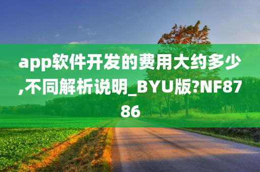 app软件开发的费用大约多少,不同解析说明_BYU版?NF8786