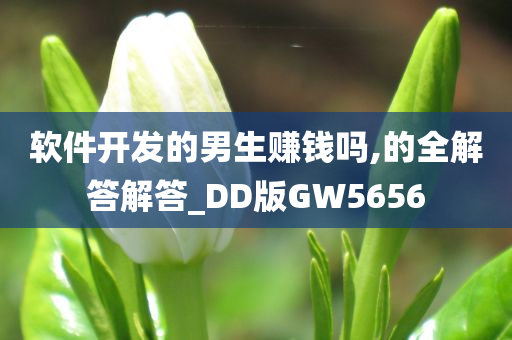 软件开发的男生赚钱吗,的全解答解答_DD版GW5656