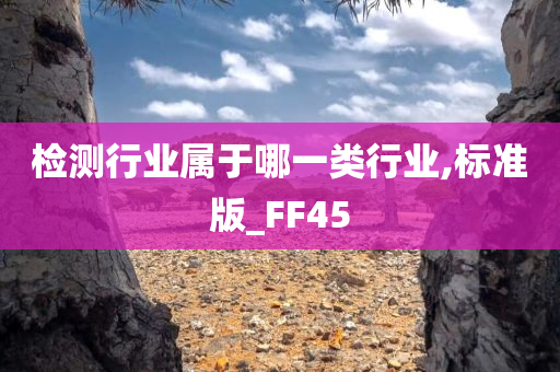 检测行业属于哪一类行业,标准版_FF45