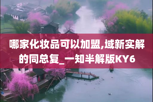 哪家化妆品可以加盟,域新实解的同总复_一知半解版KY6