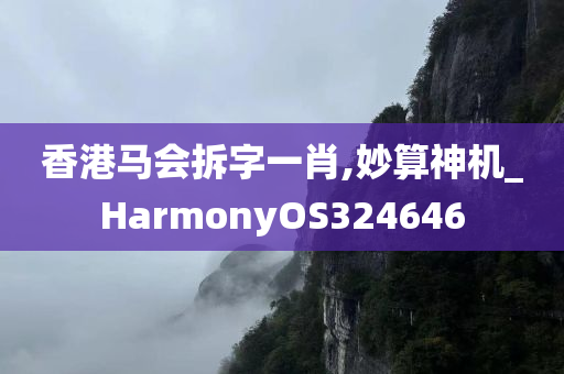 香港马会拆字一肖,妙算神机_HarmonyOS324646