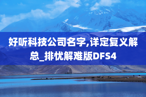 好听科技公司名字,详定复义解总_排忧解难版DFS4