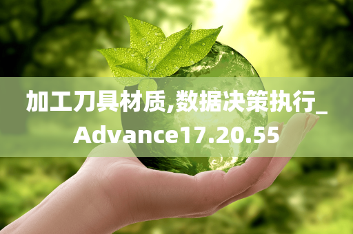 加工刀具材质,数据决策执行_Advance17.20.55