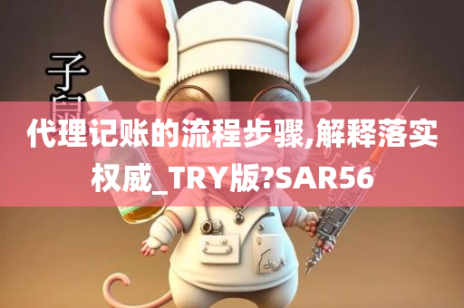 代理记账的流程步骤,解释落实权威_TRY版?SAR56