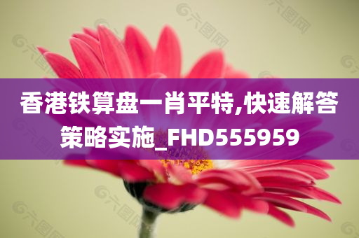 香港铁算盘一肖平特,快速解答策略实施_FHD555959