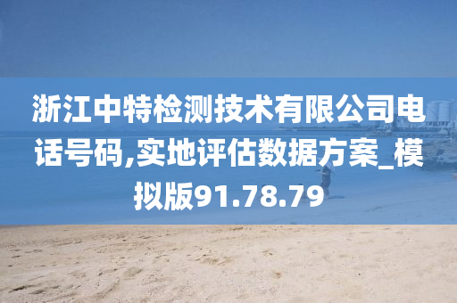 浙江中特检测技术有限公司电话号码,实地评估数据方案_模拟版91.78.79