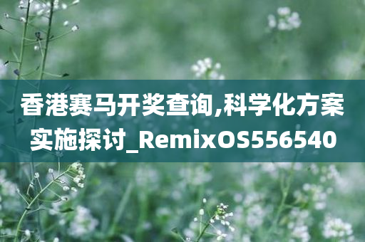 香港赛马开奖查询,科学化方案实施探讨_RemixOS556540