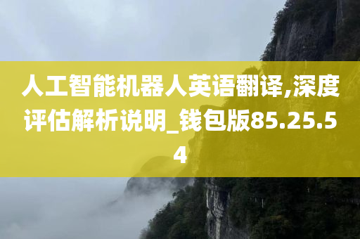 人工智能机器人英语翻译,深度评估解析说明_钱包版85.25.54