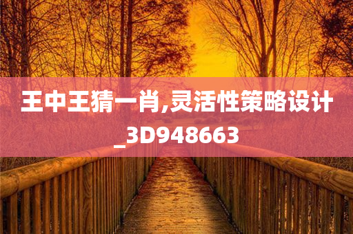 王中王猜一肖,灵活性策略设计_3D948663