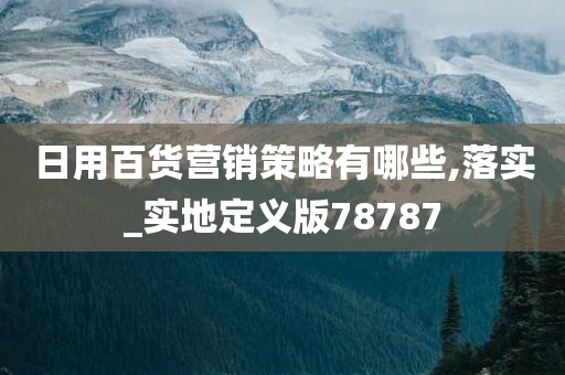 日用百货营销策略有哪些,落实_实地定义版78787