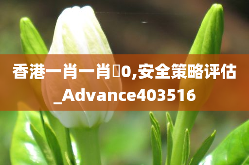 香港一肖一肖�0,安全策略评估_Advance403516