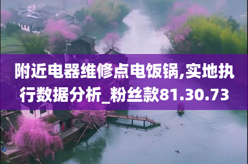 附近电器维修点电饭锅,实地执行数据分析_粉丝款81.30.73