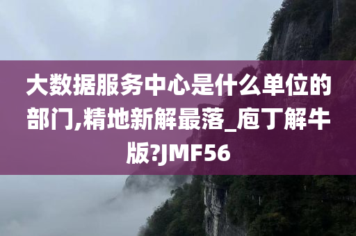 大数据服务中心是什么单位的部门,精地新解最落_庖丁解牛版?JMF56