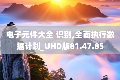 电子元件大全 识别,全面执行数据计划_UHD版81.47.85