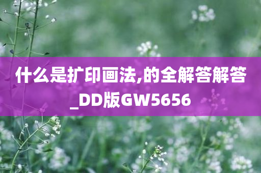 什么是扩印画法,的全解答解答_DD版GW5656