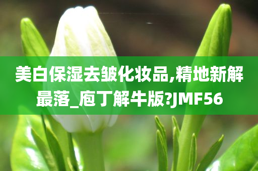 美白保湿去皱化妆品,精地新解最落_庖丁解牛版?JMF56