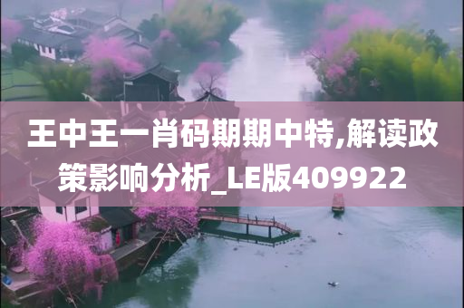 王中王一肖码期期中特,解读政策影响分析_LE版409922