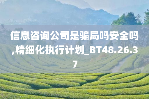 信息咨询公司是骗局吗安全吗,精细化执行计划_BT48.26.37