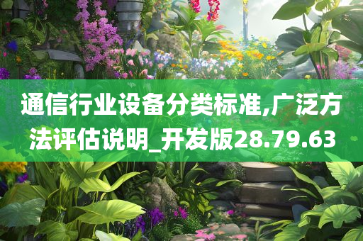 通信行业设备分类标准,广泛方法评估说明_开发版28.79.63