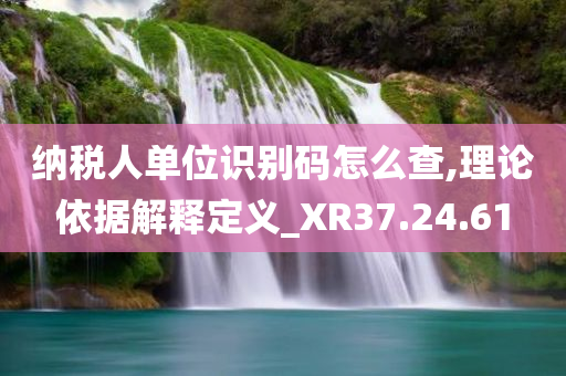 纳税人单位识别码怎么查,理论依据解释定义_XR37.24.61