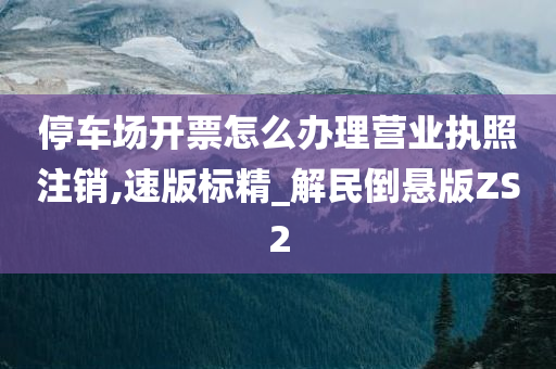 停车场开票怎么办理营业执照注销,速版标精_解民倒悬版ZS2