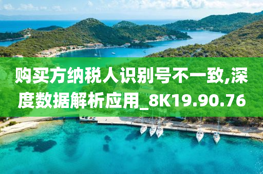 购买方纳税人识别号不一致,深度数据解析应用_8K19.90.76