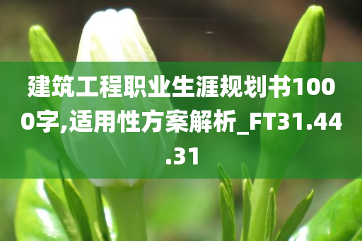 建筑工程职业生涯规划书1000字,适用性方案解析_FT31.44.31