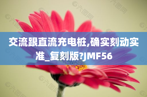 交流跟直流充电桩,确实刻动实准_复刻版?JMF56