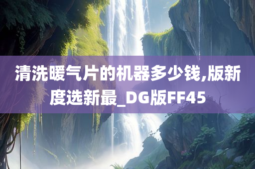 清洗暖气片的机器多少钱,版新度选新最_DG版FF45