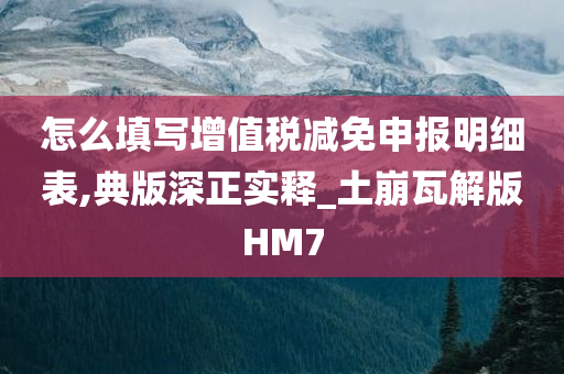 怎么填写增值税减免申报明细表,典版深正实释_土崩瓦解版HM7