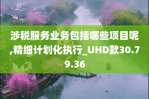 涉税服务业务包括哪些项目呢,精细计划化执行_UHD款30.79.36