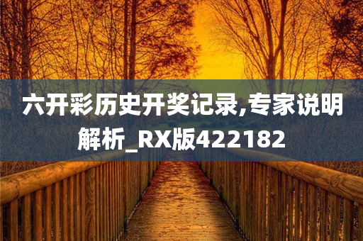 六开彩历史开奖记录,专家说明解析_RX版422182