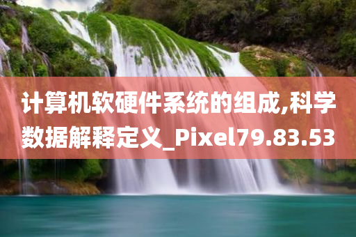 计算机软硬件系统的组成,科学数据解释定义_Pixel79.83.53