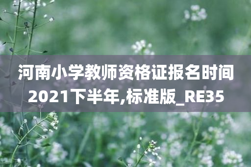 河南小学教师资格证报名时间2021下半年,标准版_RE35