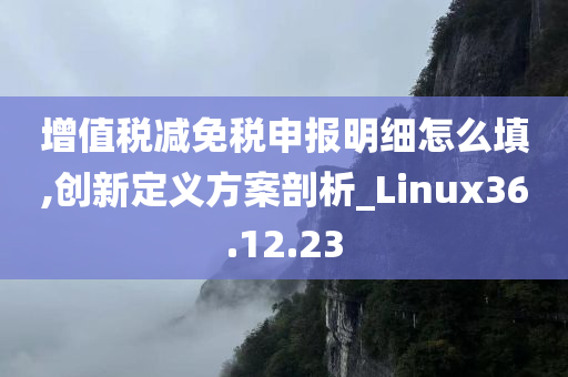 增值税减免税申报明细怎么填,创新定义方案剖析_Linux36.12.23