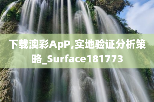 下载澳彩ApP,实地验证分析策略_Surface181773