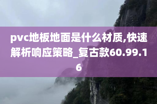 pvc地板地面是什么材质,快速解析响应策略_复古款60.99.16