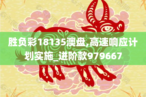 胜负彩18135澳盘,高速响应计划实施_进阶款979667