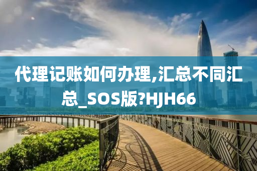 代理记账如何办理,汇总不同汇总_SOS版?HJH66