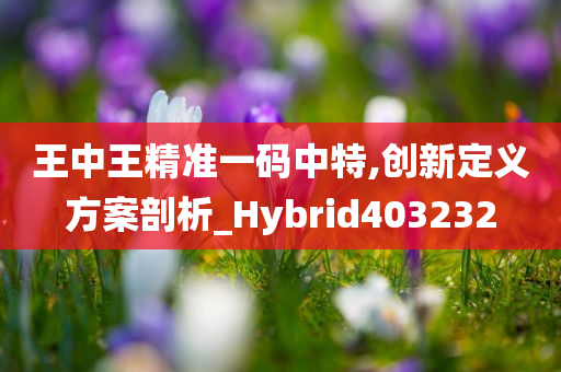 王中王精准一码中特,创新定义方案剖析_Hybrid403232