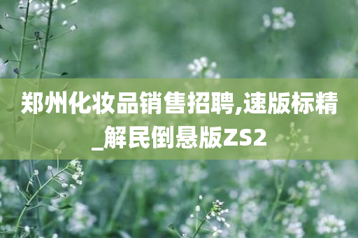 郑州化妆品销售招聘,速版标精_解民倒悬版ZS2