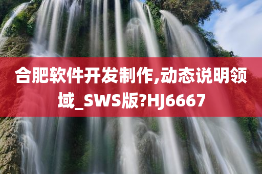 合肥软件开发制作,动态说明领域_SWS版?HJ6667